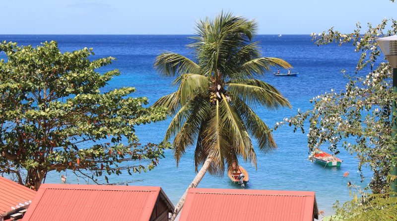 Louez une voiture pour visiter la Martinique à votre rythme